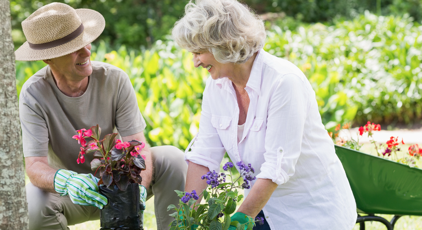 Gardening, A Great Way to Stay Active